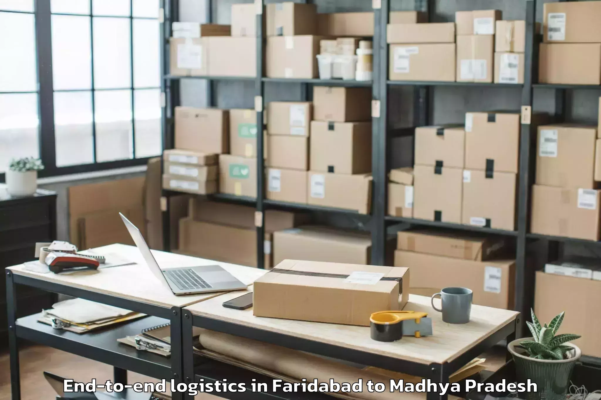 Professional Faridabad to Mauganj End To End Logistics